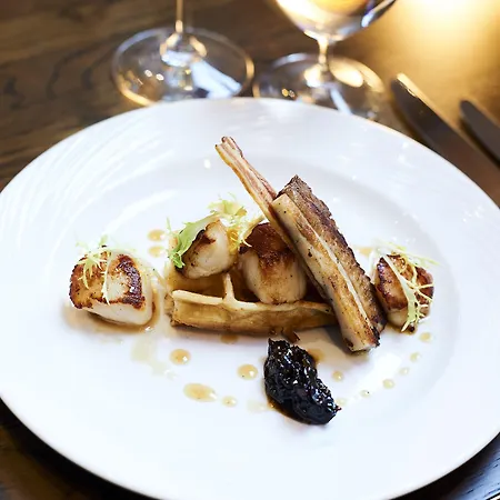 Hotel Harbour & Bristol