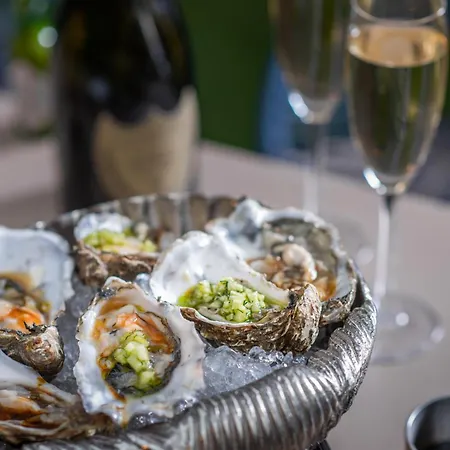 Harbour & 布里斯托