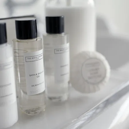 Harbour & 布里斯托